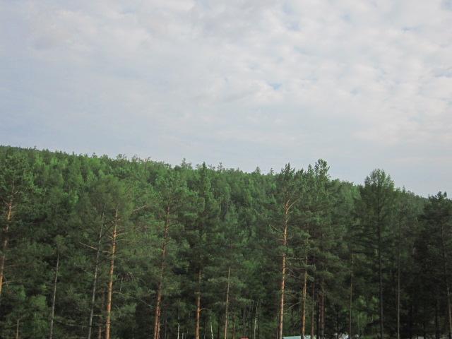 IMG_2959.JPG IMG_2959.JPG