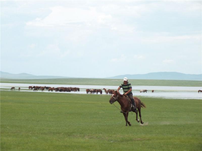 DSCF8854.jpg